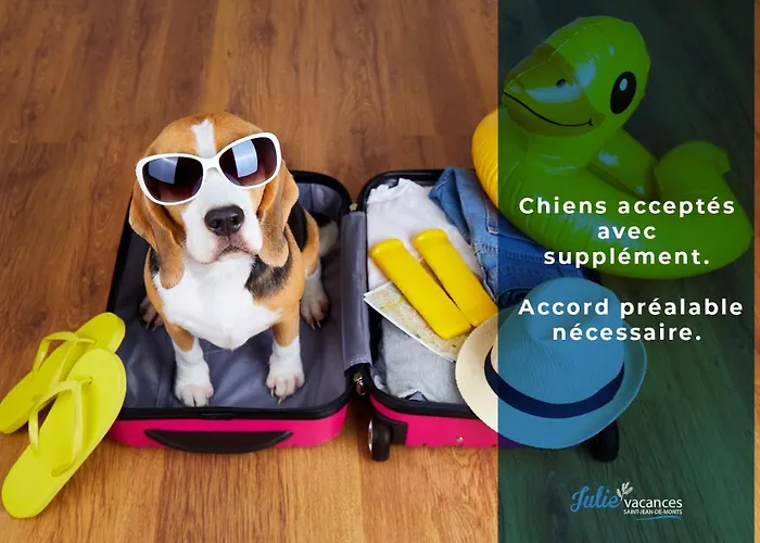 Les Paludiers 2 Centre-ville 아파트 생장드몽